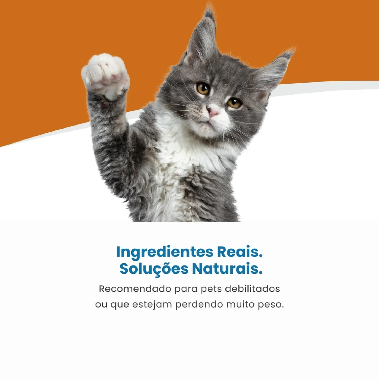 Racao Umida Para Gato Convalescenca Vet Life 4